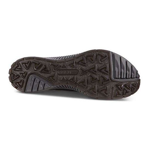 Ecco Terracruise II W GTX Sko Black