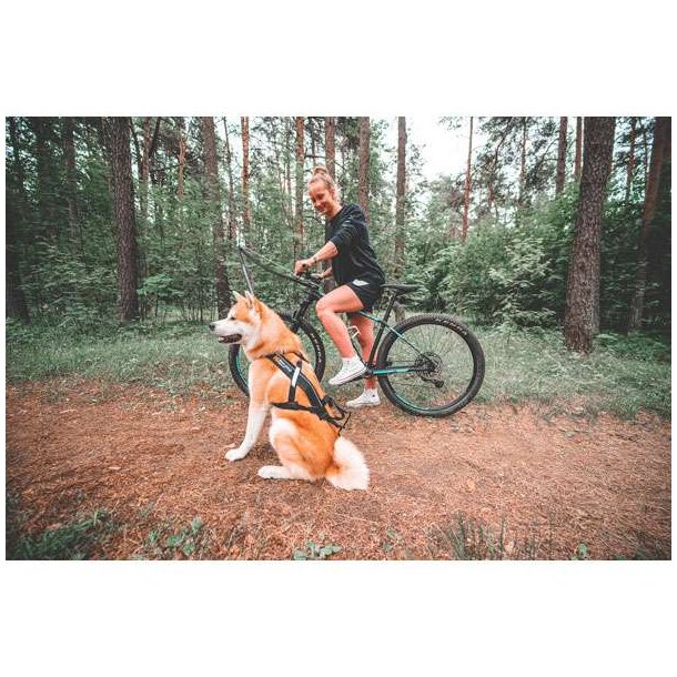 Non-Stop Dogwear Bike Antenne