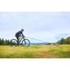 Non-Stop Dogwear Bike Antenne