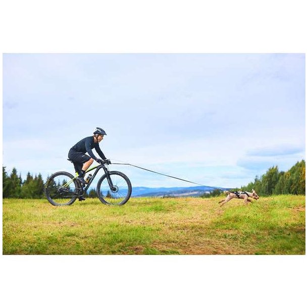 Non-Stop Dogwear Bike Antenne