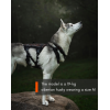 Non-Stop Dogwear Rock Harness Long Hundesele Sort/Orange Str M
