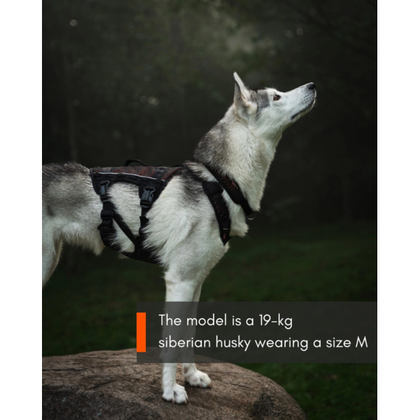 Non-Stop Dogwear Rock Harness Long Hundesele Sort/Orange Str M
